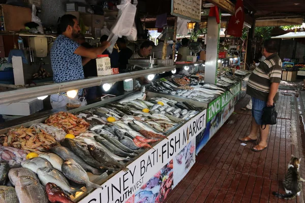 社説は フェティエ トルコ 2017 人気のある魚で販売のための魚市場 トルコのフェトヒイェで 2017 ストックフォト