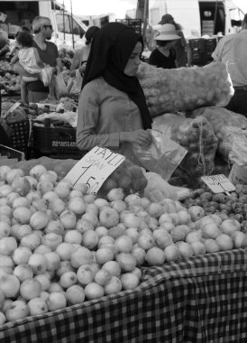 Türk Bayan portresi