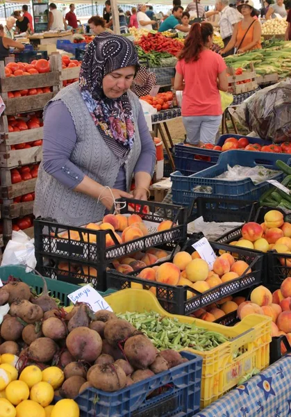 Türk Bayan portresi