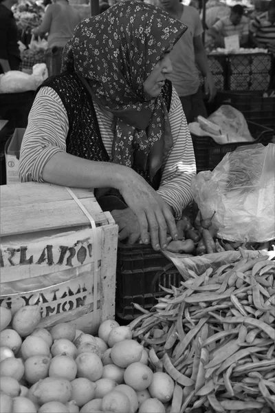 Türk Bayan portresi