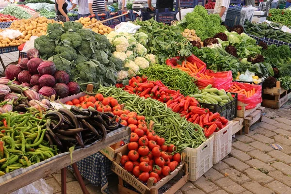 本地农产品市场展出的新鲜蔬菜 — 图库照片