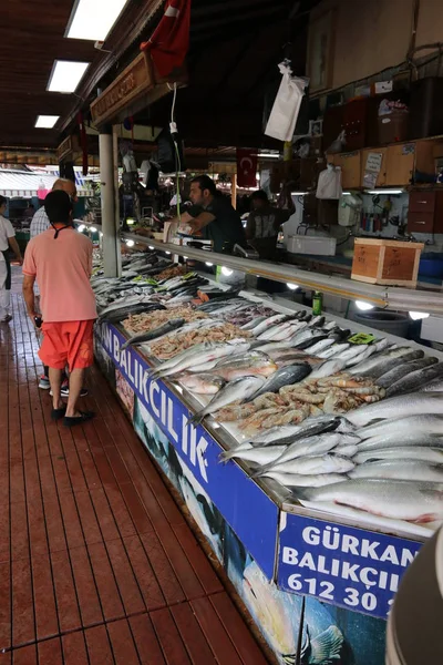 Риба для продажу на ринку популярні риби — стокове фото