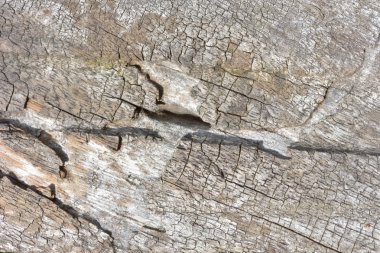 Arkaplan için ahşap doku