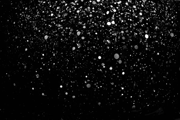 Chute de neige sur le fond noir — Photo