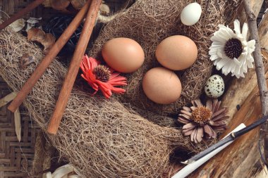 vintage bir ahşap arka plan stüdyo çekim Bıldırcın yumurta.