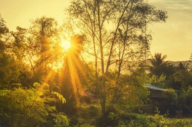 Doğa ağaçlar ortasında dağlar ve Prachuap Khiri Khan il, Tayland köyde günbatımı ışık
