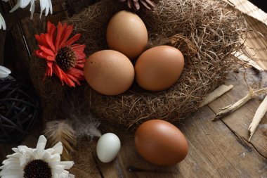 Stüdyo çekim vintage ahşap arka plan üzerinde yumurta.