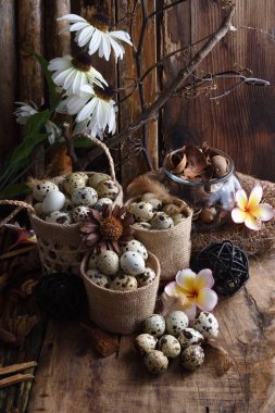 vintage bir ahşap arka plan stüdyo çekim Bıldırcın yumurta.