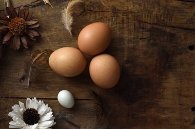 Stüdyo çekim vintage ahşap arka plan üzerinde yumurta.