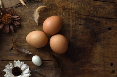 Stüdyo çekim vintage ahşap arka plan üzerinde yumurta.