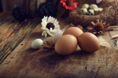 Stüdyo çekim vintage ahşap arka plan üzerinde yumurta.