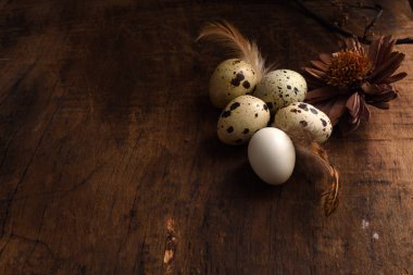 vintage bir ahşap arka plan stüdyo çekim Bıldırcın yumurta.