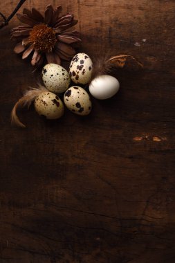 vintage bir ahşap arka plan stüdyo çekim Bıldırcın yumurta.