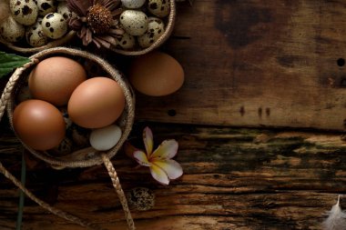 vintage bir ahşap arka plan stüdyo çekim Bıldırcın yumurta.