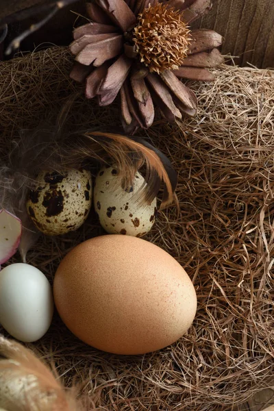 工作室拍摄的鸡蛋在一个老式的木质背景 — 图库照片