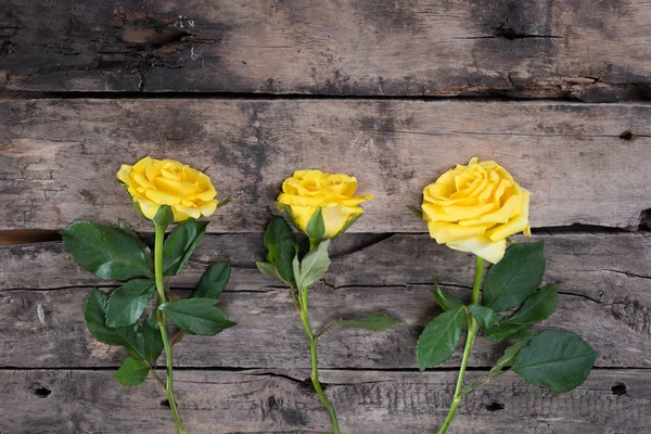 Rosa amarela em um fundo de madeira para casamento de amor e namorados — Fotografia de Stock