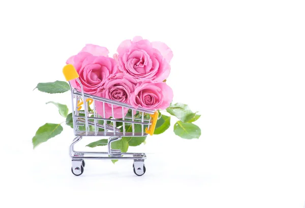 Rosas rosa no carrinho de compras em um fundo branco — Fotografia de Stock