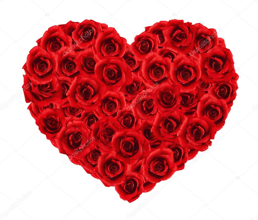 red roses hearts shapes isolated on white background for love we