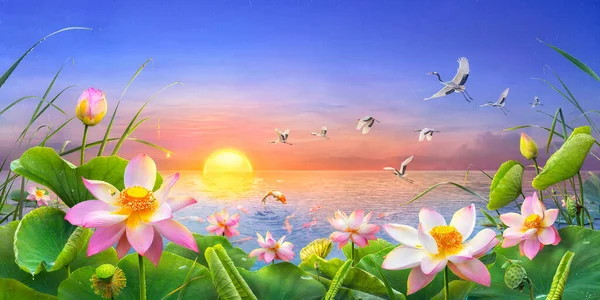 鯉魚と雨の中 太陽が昇ると美しい蓮の花を咲かせます飛び跳ねると赤い冠鶴が飛んで それは縁起の良い風水です — ストック写真