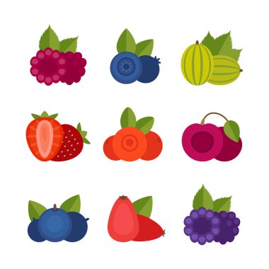 Berry Icon set. Düz stil, vektör çizim.
