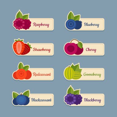 Berry Icon set. Çilek etiketlerle. Düz stil, vektör çizim.