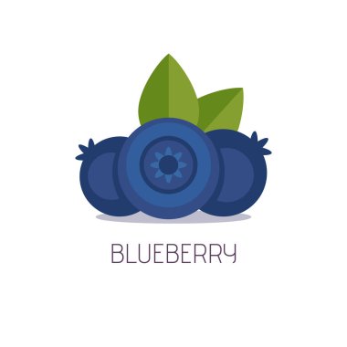 Beyaz arka plan üzerinde yaban mersini. Düz stil, vektör çizim. 