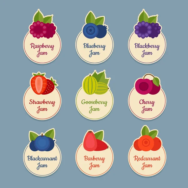 Berry Icon set. Çilek etiketlerle. Düz stil, vektör çizim.