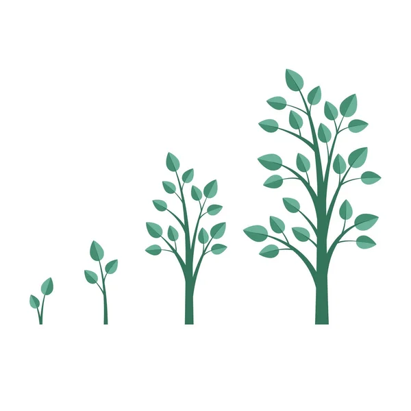 Växande träd. Träd tillväxtfaserna. Platt stil, vektorillustration. — Stock vektor