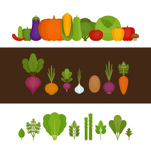Groenten-collectie. Biologisch en gezond voedsel. Vlakke stijl, vectorillustratie. — Stockvector