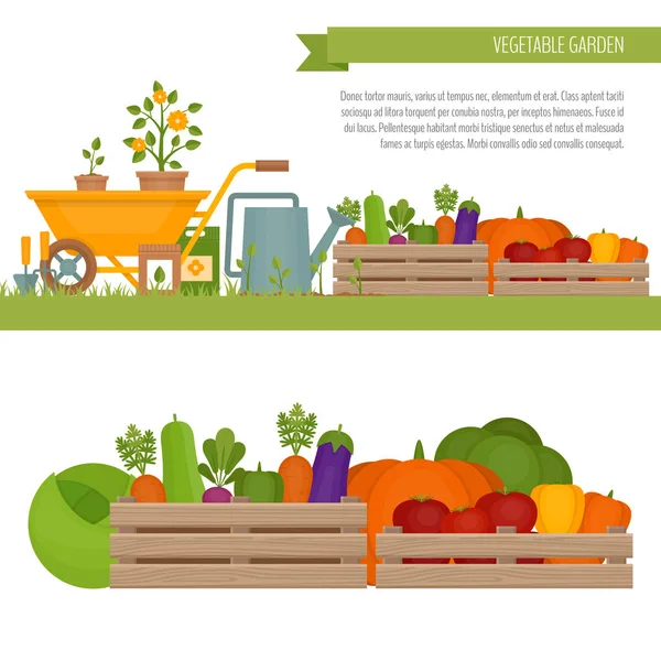 Овощной сад. Органическая и здоровая пища. Свежие овощи в коробке. Знамя с овощами. Плоский стиль, векторная иллюстрация . — стоковый вектор