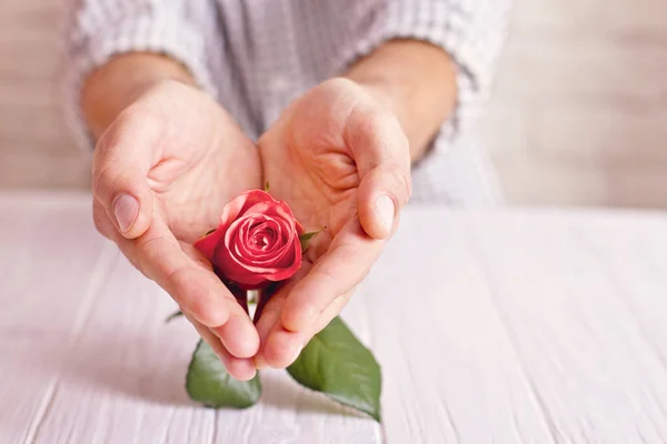 Concetto d'amore. Uomo con rosa arancio in mano a forma di cuore. Cartolina di San Valentino Fotografia Stock