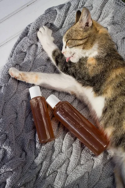 Цветная кошка лежит на сером одеяле рядом с гелевыми бутылками . — стоковое фото