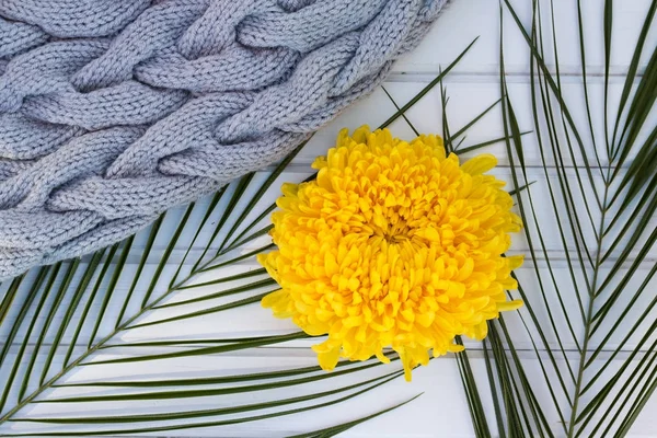 Arka plan beyaz ahşap masa, yeşil palmiye yaprakları, sarı c