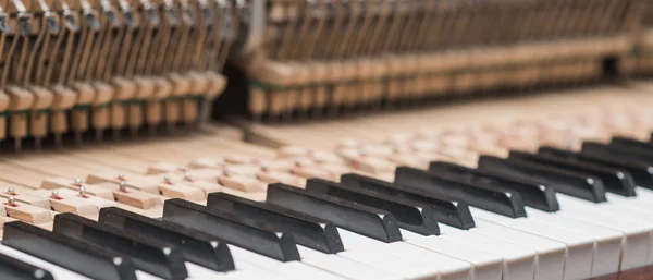 Εκλεκτής ποιότητας πιάνο κρουστικό μηχανισμό. Προετοιμασία για την επισκευή — Φωτογραφία Αρχείου