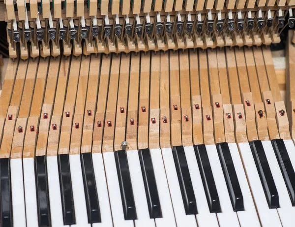 Εκλεκτής ποιότητας πιάνο κρουστικό μηχανισμό. Προετοιμασία για την επισκευή — Φωτογραφία Αρχείου