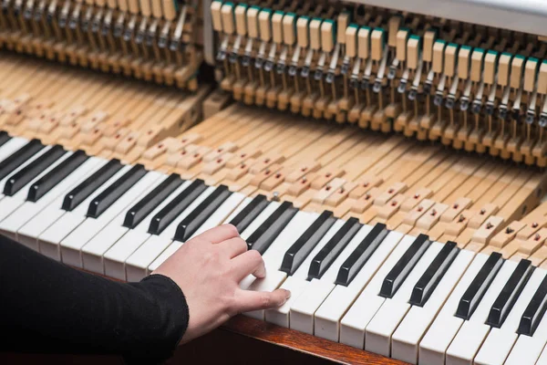 Main avec mécanisme de marteau piano vintage. Préparez-vous à réparer — Photo