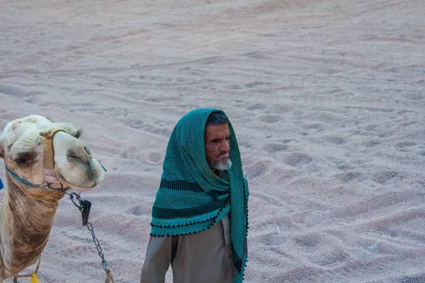 SHARM EL SHEIKH, EGYPT - JULY 9, 2009. Bedouin is a camel in the desert — Stock Photo, Image