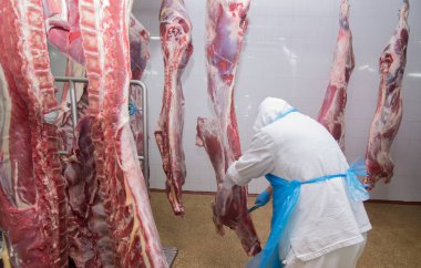 kesim et Mezbahada çalışan bir et fabrikasında işçiler.