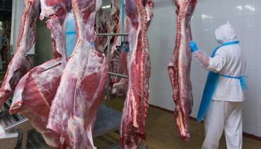 kesim et Mezbahada çalışan bir et fabrikasında işçiler.