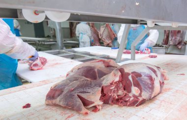 kesim et Mezbahada çalışan bir et fabrikasında işçiler.