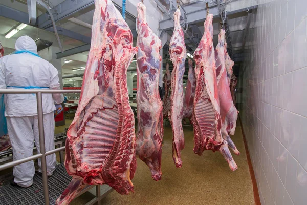 Cutting meat slaughterhouse workers in a meat factory. — Stock Photo, Image