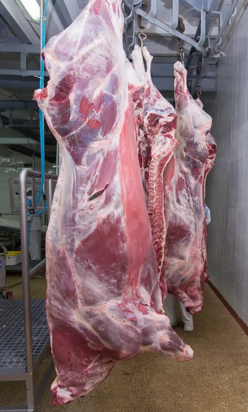 Cortar trabajadores de mataderos de carne en una fábrica de carne . — Foto de Stock