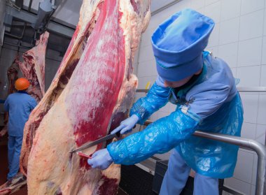 Mogilev, Beyaz Rusya - 24 Temmuz 2017: kesim et mezbahada çalışan bir et fabrikasında işçiler