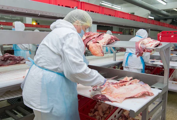 Mogilev Belarus July 2017 Cutting Meat Slaughterhouse Workers Meat Factory — Stock Photo, Image