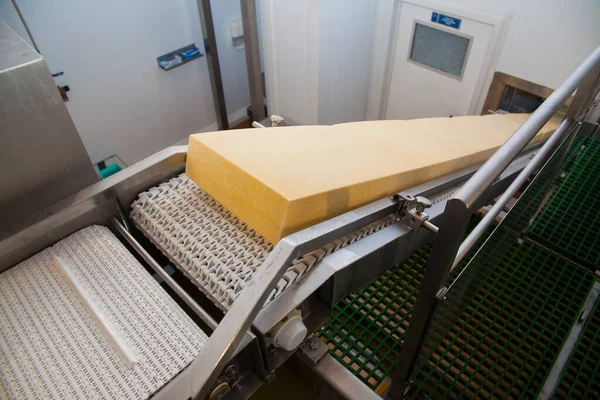 Průmyslová výroba polotvrdých sýrů — Stock fotografie