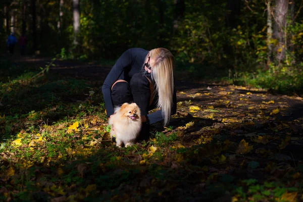 Happy young fashion woman with dwarf spitz in autumn forest — Stock Photo, Image
