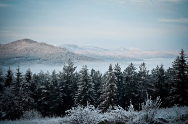 Soğuk sabah dağlarda. Val oturuyor sis