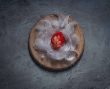 Beyaz tüylü bir kırmızı paskalya yumurtası ve gri bir arka plan.