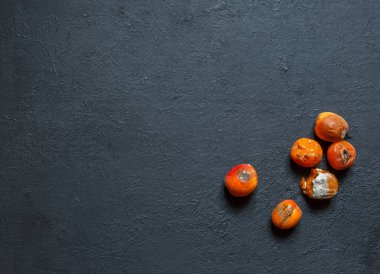 Küflü çürük kayısılar ve siyah kabataslak zemin üzerinde lekeler.