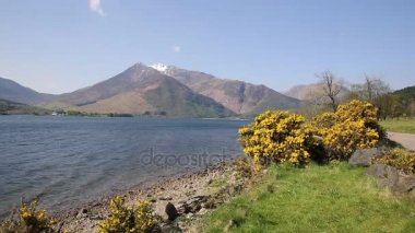 Dağlar ve sarı çiçek Loch Leven Lochaber Geopark İskoçya İngiltere Glen coe Dağları kar ile tepesinde